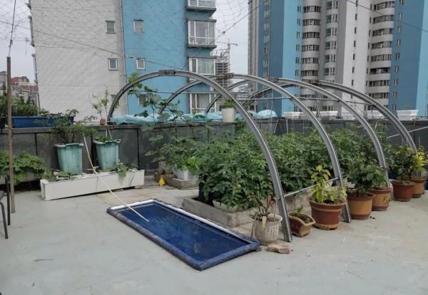 新式移動淺池,讓二培更加方便 新式移動淺池,讓二培更加方便