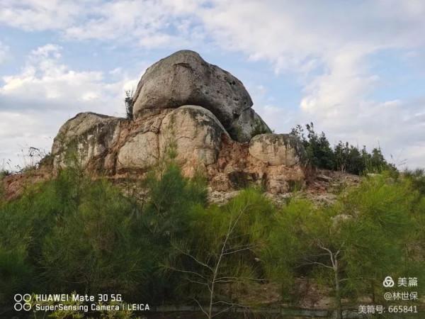 朋友圈2021年第31期