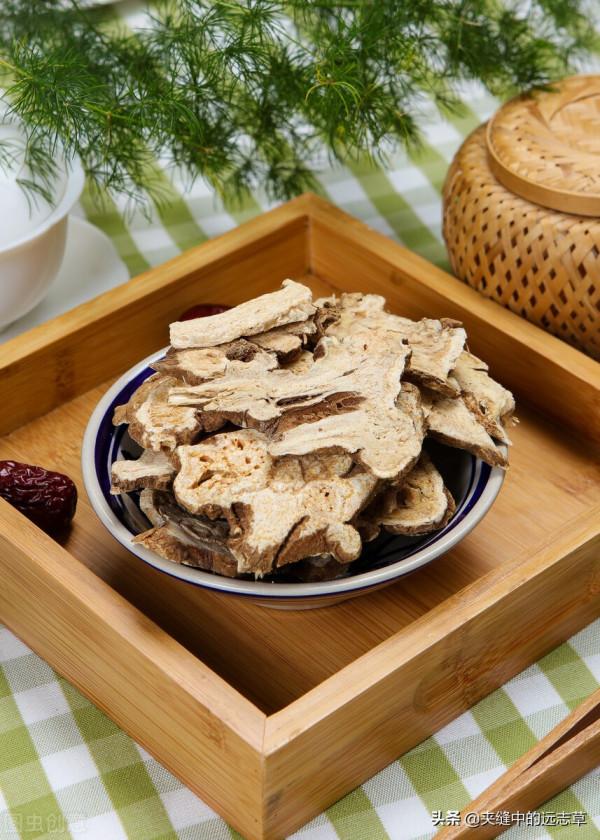 痛風，關節紅、腫、熱、痛？一劑當歸拈痛湯，幫你統統搞定