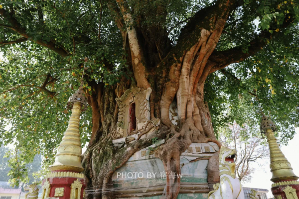 這座邊陲小城是中國唯一的單字市,還是全國第一辣的辣椒產地 這座邊陲小城是中國唯一的單字市,還是全國第一辣的辣椒產地