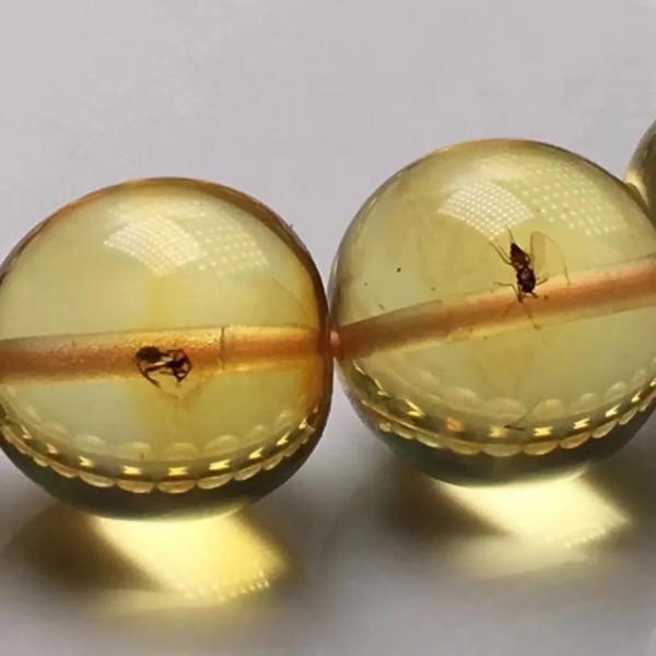 琥珀,時間靜止不動了 琥珀,時間靜止不動了