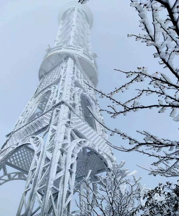 美爆了！陽明山迎來今冬第一場霧凇