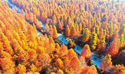 中國旅遊興起“微度假”