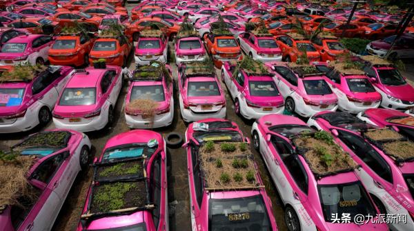 泰國2500輛閒置計程車頂驚現迷你“花園”:疫情之下的無奈之舉 泰國2500輛閒置計程車頂驚現迷你“花園”:疫情之下的無奈之舉