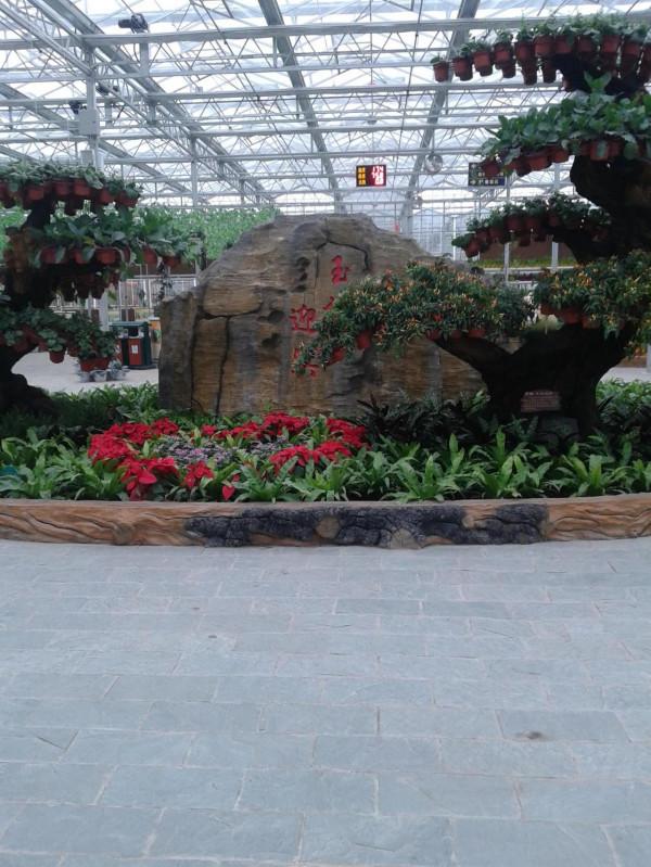 五彩田園，美麗的田園