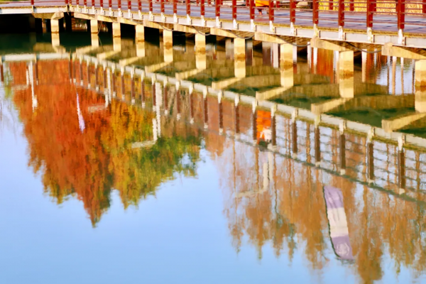 嗨，想和你一起看鹿城冬日限定美景
