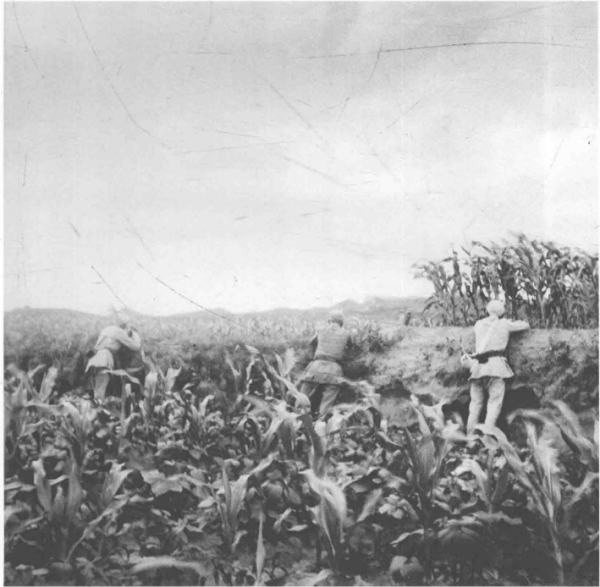 中原突圍時，有一個旅奉命留守，後來怎麼樣了