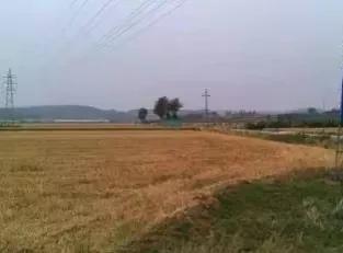 2006年，日本人在山東租1500畝地，卻閒置5年啥也不幹，意欲何為