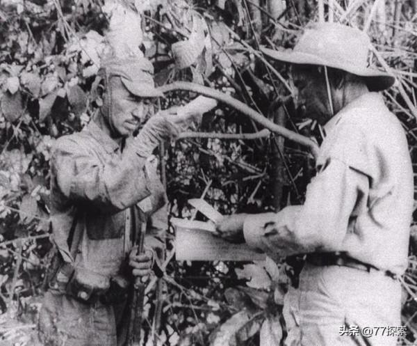 最後投降的一個日本兵,在海島上頑抗30年,投降後竟成了英雄 最後投降的一個日本兵,在海島上頑抗30年,投降後竟成了英雄