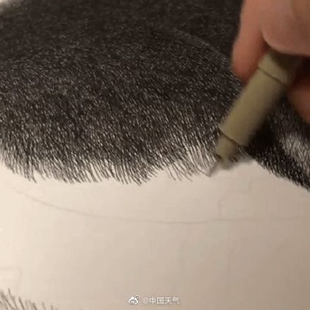 好可愛啊啊啊啊,畫家Kamwei Fong用針管筆畫的喵,毛茸茸,太可愛啦!無聊的時候塗鴉起來 好可愛啊啊啊啊,畫家Kamwei Fong用針管筆畫的喵,毛茸茸,太可愛啦!無聊的時候塗鴉起來