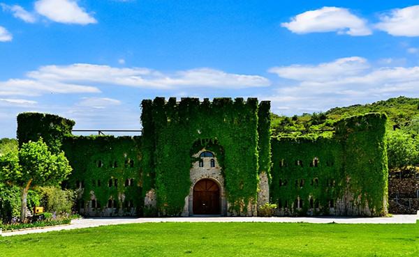 戚立昌：“邑仕山谷”的“看山老頭”