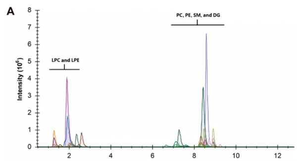 劍指“癌中之王”！人工智慧+多組學助力胰腺導管腺癌的早期檢測