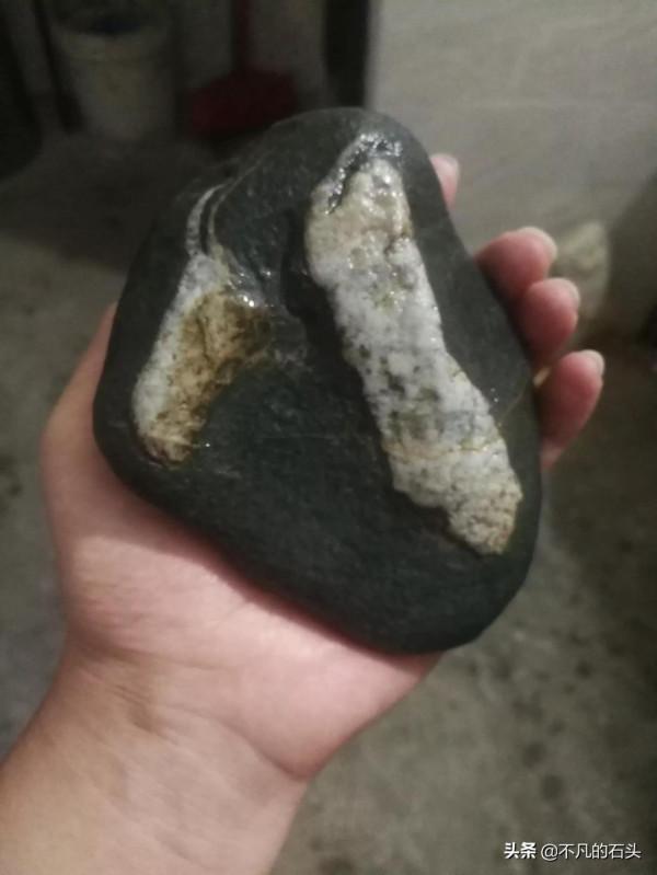 我的奇石全靠撿,有動物、植物、人物、文字等奇石,非常豐富 我的奇石全靠撿,有動物、植物、人物、文字等奇石,非常豐富