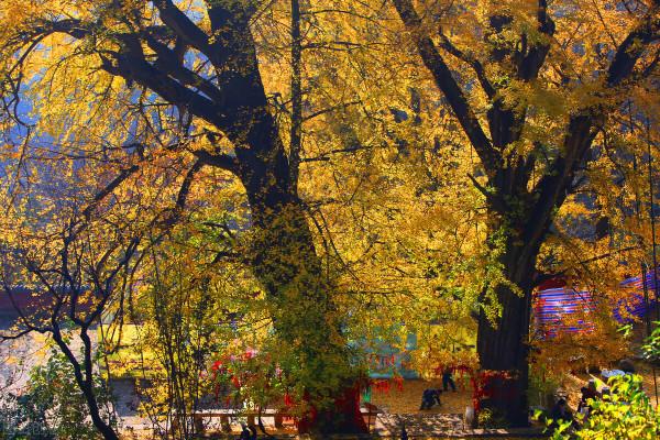 安徽又又又又又紅了 安徽又又又又又紅了