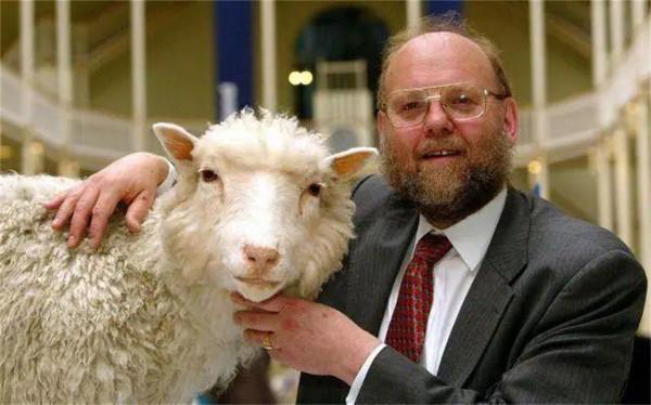 為什麼現在很少提“克隆”了？多莉的一生就是答案，實在太可憐了