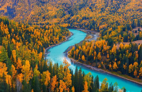 8條適合秋天的短途自駕路線，10-11月出發正當時，您去過幾條？