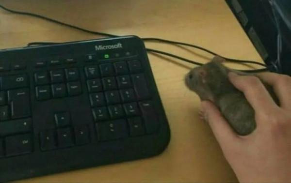 鍵盤上最多餘的按鍵，為什麼還沒被幹掉