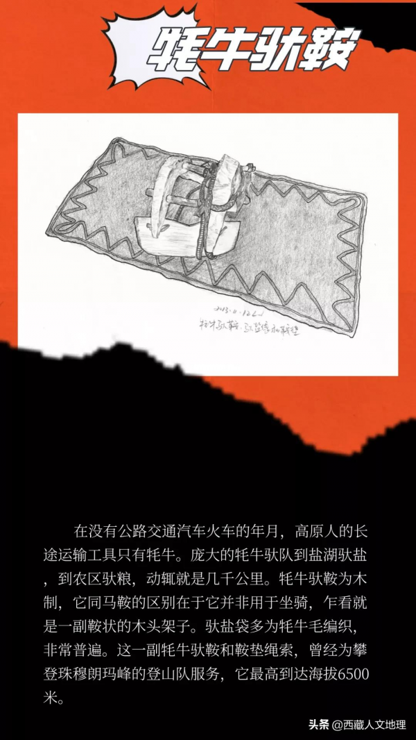 去犛牛博物館前，先收藏這篇文章