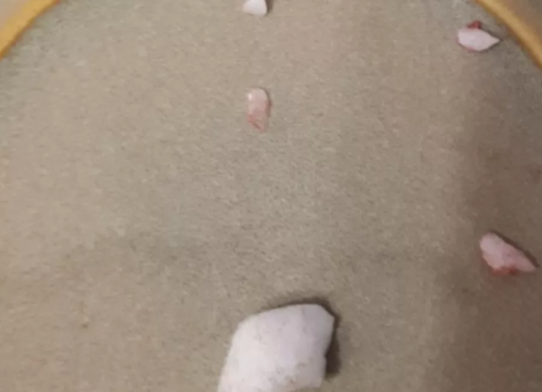 超市冷凍水果出事 加拿大總統之選被曝給顧客&quot;封口費&quot;