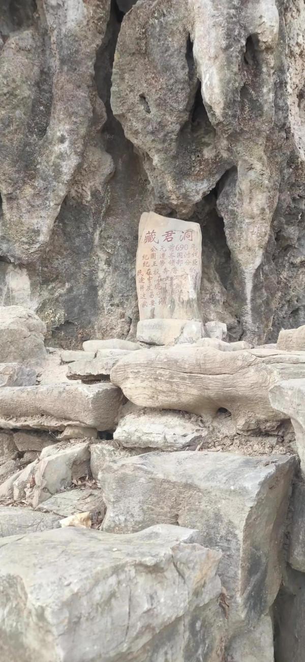 五絕 王城天上高