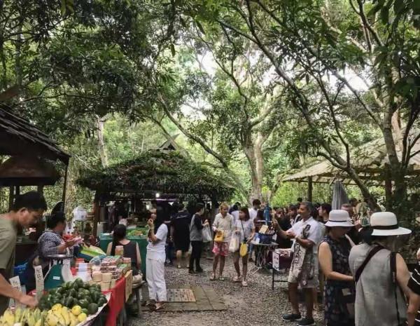 泰國清邁,是一個怎樣的地方? 泰國清邁,是一個怎樣的地方?