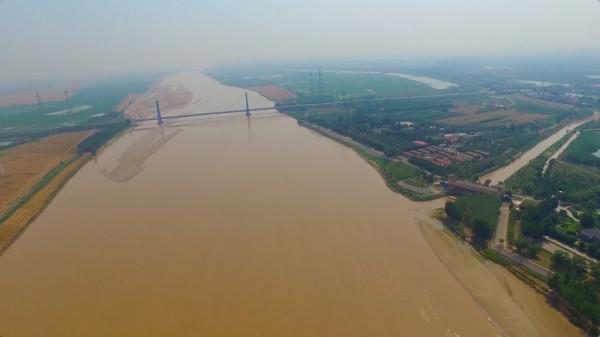 資料揭秘多樣性背後的秘密——鳥為啥越來越多