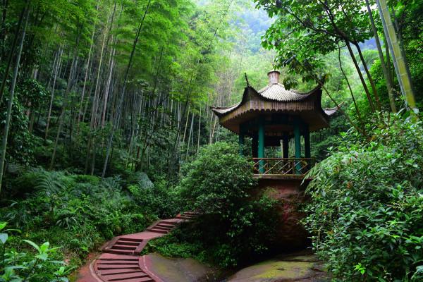 竹文化旅遊前景如何？