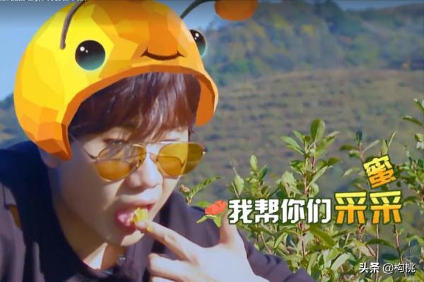 從一夜爆紅到負債累累,汪蘇瀧經歷了什麼?網友:這才是寶藏男孩 從一夜爆紅到負債累累,汪蘇瀧經歷了什麼?網友:這才是寶藏男孩