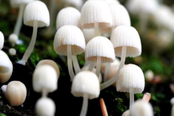 11.15-21十二星座事業運勢，雙子工作推進快，射手不斷累積收穫