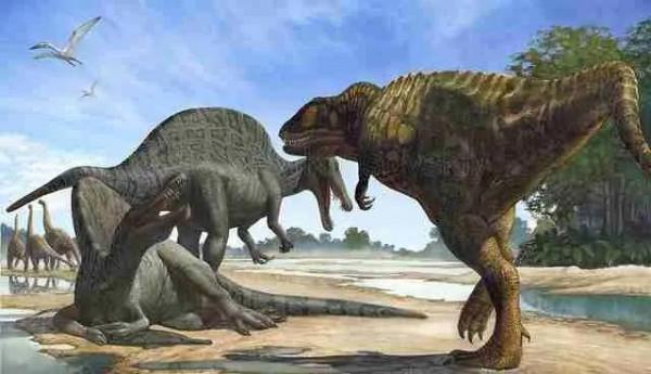 十大最強食肉恐龍 恐龍戰鬥力排名:棘龍、霸王龍、蠻龍 十大最強食肉恐龍 恐龍戰鬥力排名:棘龍、霸王龍、蠻龍