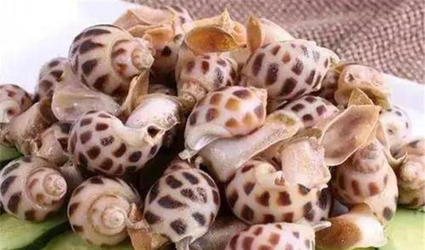 十大最美味的可食用螺