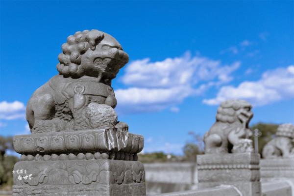 北京盧溝橋上的石獅子不會自己跑了,為何數不清有多少隻? 北京盧溝橋上的石獅子不會自己跑了,為何數不清有多少隻?