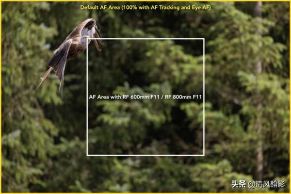 佳能微單800和600長焦鏡頭怎麼樣?不算權威的評測瞭解下 佳能微單800和600長焦鏡頭怎麼樣?不算權威的評測瞭解下