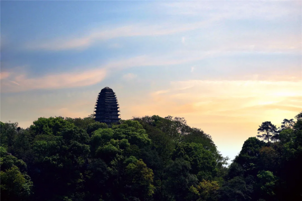 40+張大片!帶你領略這裡的“鳥禽圖鑑”! 40+張大片!帶你領略這裡的“鳥禽圖鑑”!