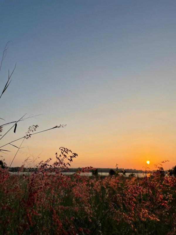 讓石頭充滿藝術氣息