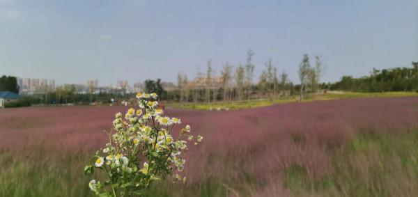 淄川南部森林公園