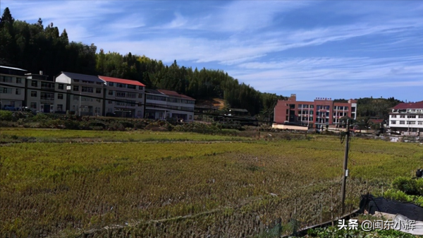 福建農村發現鴨子墓,傳說引起各大家族相爭,到底怎麼回事 福建農村發現鴨子墓,傳說引起各大家族相爭,到底怎麼回事