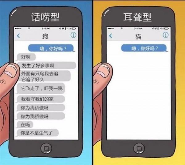 從科學的角度談一談養貓還是養狗 從科學的角度談一談養貓還是養狗