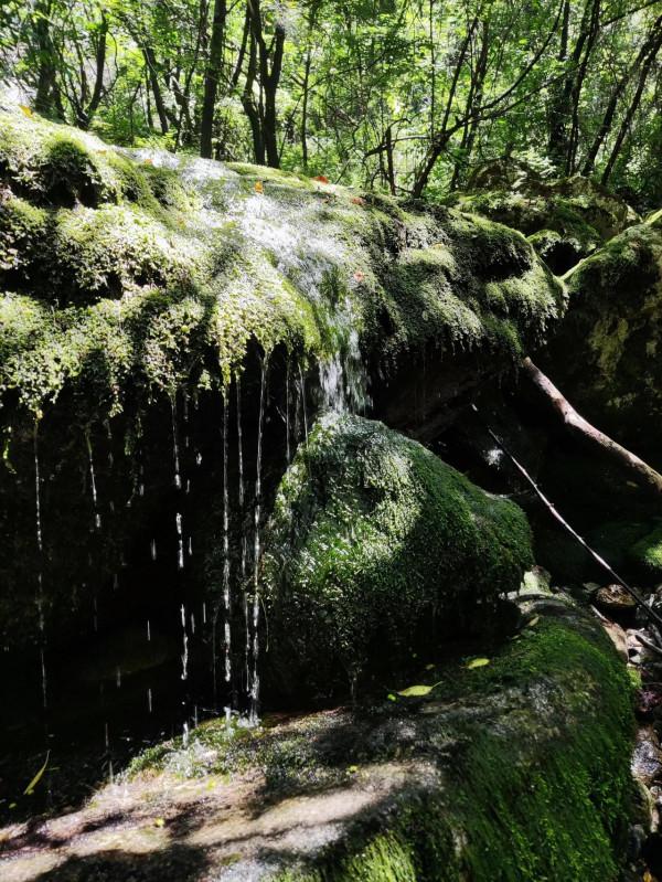 秦嶺72峪之小峪