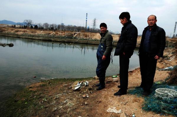 養殖新政出臺，養殖“三不準”農民要注意，兩類養殖場將拆除