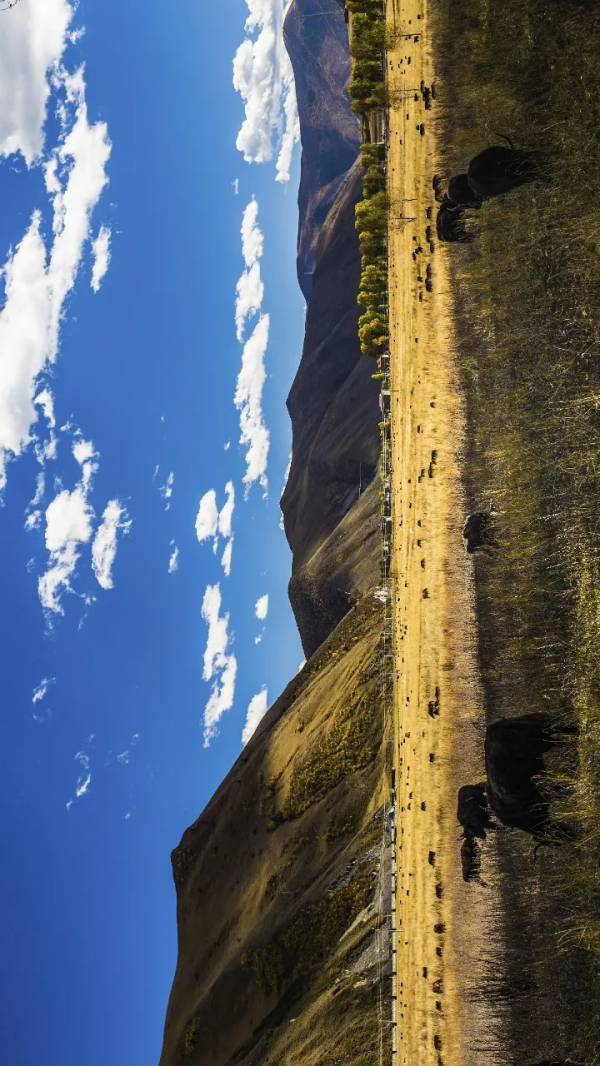 為什麼全國都愛四川的秋天! 為什麼全國都愛四川的秋天!