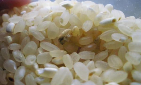 饅頭放冰箱超過3天,會產生黃麴黴毒素嗎?醫生告訴你真相 饅頭放冰箱超過3天,會產生黃麴黴毒素嗎?醫生告訴你真相