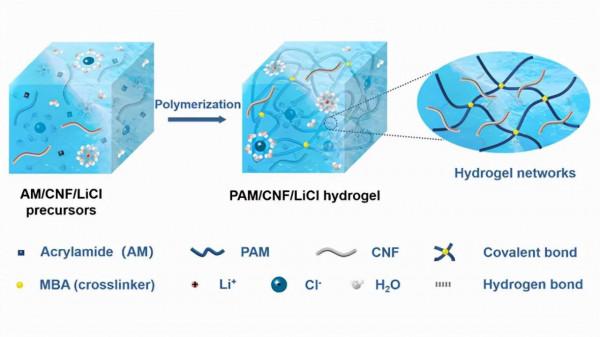 豐田研發植物纖維材料 為保護環境及錢包