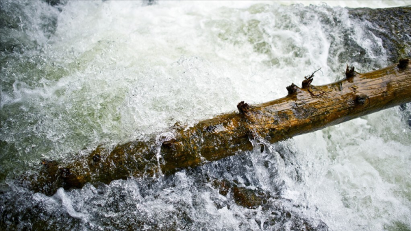 傳說中地球的三次特大災難，你知道幾個？