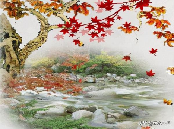 十二首描寫風的詩詞，古人太有才，如何不開懷