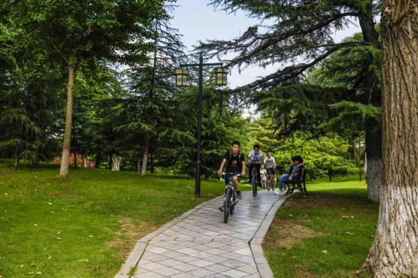 夏日度假好去處，古九州之一青州遊玩攻略