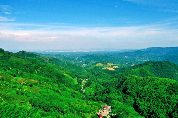 歡度中秋｜品茶、登高、撩秋，莫負西九華山好秋色