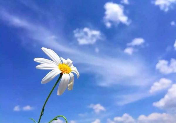 男友被判無期,她執意要等,這其中還藏著另一段銘心刻骨的愛情 男友被判無期,她執意要等,這其中還藏著另一段銘心刻骨的愛情