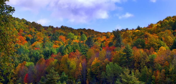 金秋十月，來河北給你“好看”
