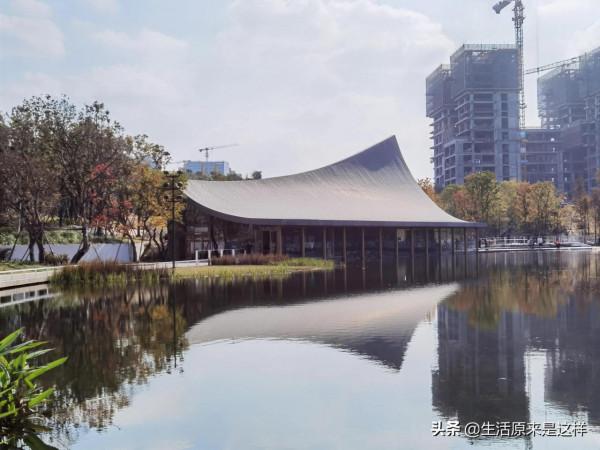 一本從天上掉落的書